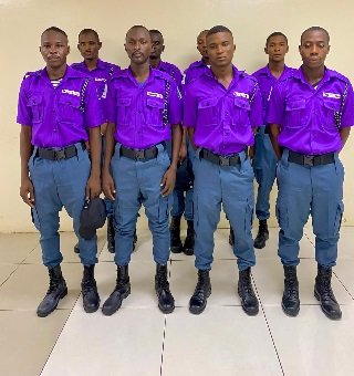 Dedicated Staff